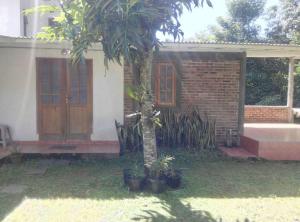 a house with a tree and some plants in front of it at Villa Triniti Blok i-35 in Bandung