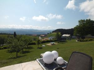 una mesa con huevos blancos en la parte superior de un campo verde en Gästehaus Pension Bergwald en Scheidegg