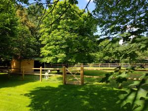 Zahrada ubytování The Two Oaks - Private garden for guests