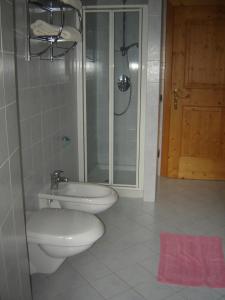 y baño con aseo, ducha y lavamanos. en Residenza Domino en Selva di Cadore
