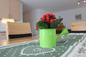 eine grüne Wasserkanne mit roten Blumen auf dem Tisch. in der Unterkunft Haus Mondelli in Saas-Almagell