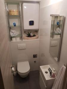 a small bathroom with a toilet and a sink at Apartment Maris in Omiš +14 photos