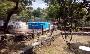 a blue tub sitting on top of a stone wall at Casa Vacanza La Papuzza Mare e Etna in Mascali