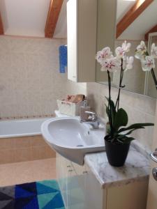 a bathroom with a sink and a potted plant at Casa Gianna in Arco