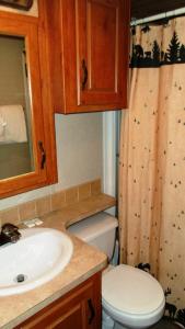 a bathroom with a sink and a toilet and a shower curtain at Cedar Pines Resort in South Lake Tahoe