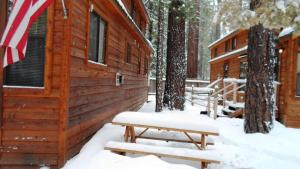 a cabin in the woods with snow on the ground at Cedar Pines Resort in South Lake Tahoe