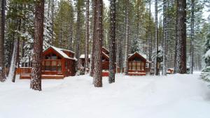 a couple of cabins in the woods in the snow at Cedar Pines Resort in South Lake Tahoe