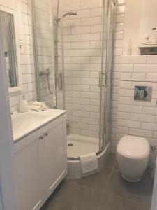 W łazience znajduje się prysznic, toaleta i umywalka. w obiekcie Plac Zamkowy Apartment w mieście Lublin