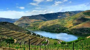 a view of a river and a valley with vineyards at Casa do Tablado - Foz Côa in Vila Nova de Foz Coa