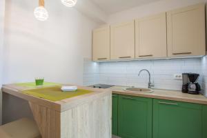 Kuchyň nebo kuchyňský kout v ubytování Guesthouse Maver