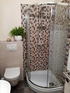 La salle de bains est pourvue d'une douche, de toilettes et d'un lavabo. dans l'établissement Charmy Rovinj, à Rovinj