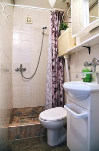y baño con aseo, lavabo y ducha. en Trsatika en Rijeka
