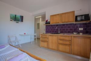 Kuchyň nebo kuchyňský kout v ubytování Guesthouse Maver