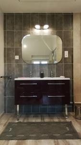 La salle de bains est pourvue d'un lavabo et d'un miroir. dans l'établissement Domaine du Carouge, à Lirey