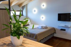 Gallery image of Sofita Hotel in Preveza