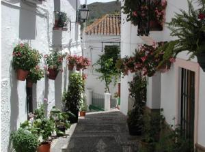 BorgeにあるHotel Posada del Bandoleroの建物の脇に鉢植えが置かれた路地
