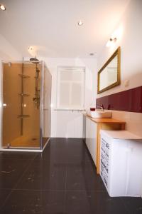 uma casa de banho com um chuveiro e um lavatório. em Apartament Topczewo em Topczewo