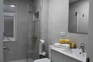 a bathroom with a shower and a sink and a toilet at Piso en Monasterio de Caaveiro in A Coruña