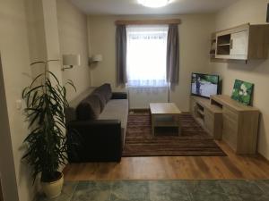 a living room with a couch and a tv at Markal Apartman in Hévíz