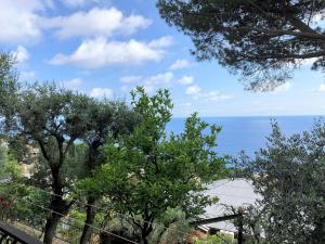 Φωτογραφία από το άλμπουμ του House Levante by Holiday World σε Pieve Ligure