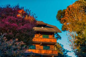 um edifício com árvores em primeiro plano em Hotel Casa da Montanha em Gramado mais 19 fotografias