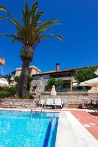 a palm tree sitting next to a swimming pool at Madena Apartments in Stoupa