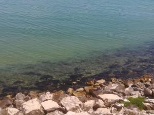 a large body of water with rocks and algae at Casa Testa in Formia