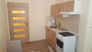 Kuchyňa alebo kuchynka v ubytovaní Apartment Marienbad Hlavni 131/50