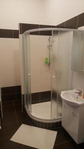 Kúpeľňa v ubytovaní Apartment Marienbad Hlavni 131/50 + 16 fotografií