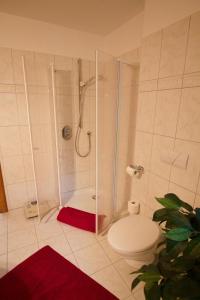 バート・ツヴィッシェンアーンにあるFerienhaus Dreibergenのバスルーム(シャワー、トイレ付)
