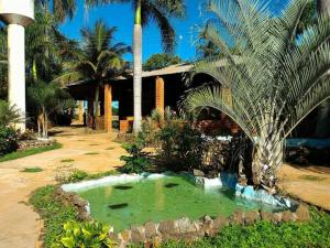 a small pond in front of a house with palm trees at Estancia Montagner in Paulínia