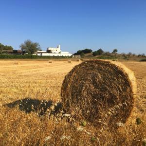 a large bale of hay in a field at Masseria Fabrizio in Otranto
