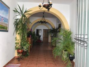 un pasillo con plantas y un arco en La Posada De Carmen, en Níjar