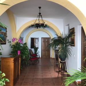 an arched hallway with plants and a chandelier at La Posada De Carmen in Níjar