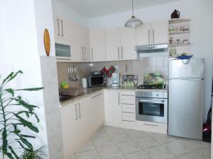 Gallery image of Apartment Varelija in Bribir