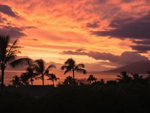 Afbeelding uit fotogalerij van Hotel Wailea, Relais & Châteaux - Adults Only in Wailea