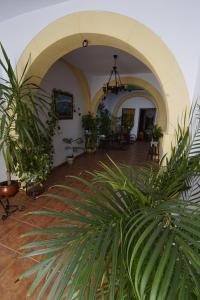 a room with a bunch of plants in it at La Posada De Carmen in Níjar