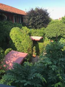 Zahrada ubytování B&B Binot