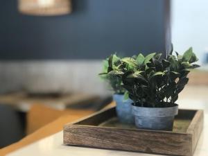 Fotografia z galérie ubytovania Apartament Neret II v destinácii Sort