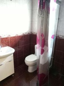 a bathroom with a toilet and a sink at Guest House San Tina in Gagra