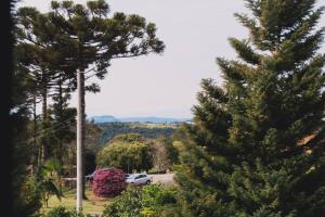 a pine tree in a parking lot with a car at Chale Recanto do Belvedere in Gramado