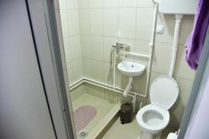 PRENOĆIŠTE PILOT في نيشْ: حمام صغير مع مرحاض ومغسلة