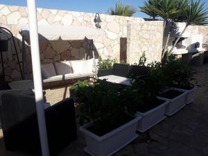 a group of potted plants in pots on a patio at Villa Lucia in Lampedusa