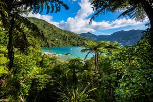 a view of a lake in the jungle with palm trees at Punga Cove Resort in Endeavour Inlet