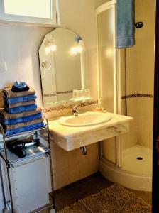 een badkamer met een wastafel, een spiegel en een douche bij Jardim do Arco "Esmee" in Arco da Calheta