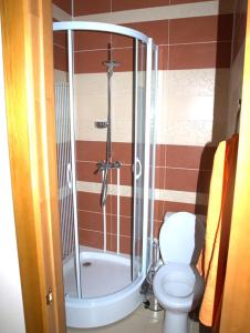 Een badkamer bij Dobr Zdravich