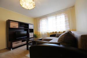 a living room with a couch and a flat screen tv at Kristinos Apartment in Druskininkai