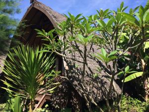 a house in the middle of some trees at Melati Cottage in Gili Trawangan