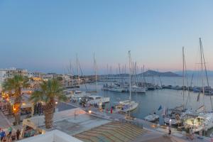 een jachthaven met veel boten in het water bij Naxos Riviera Suites in Naxos Chora