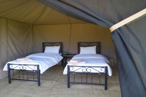 two beds sitting inside of a tent at Migombani Camp in Mto wa Mbu